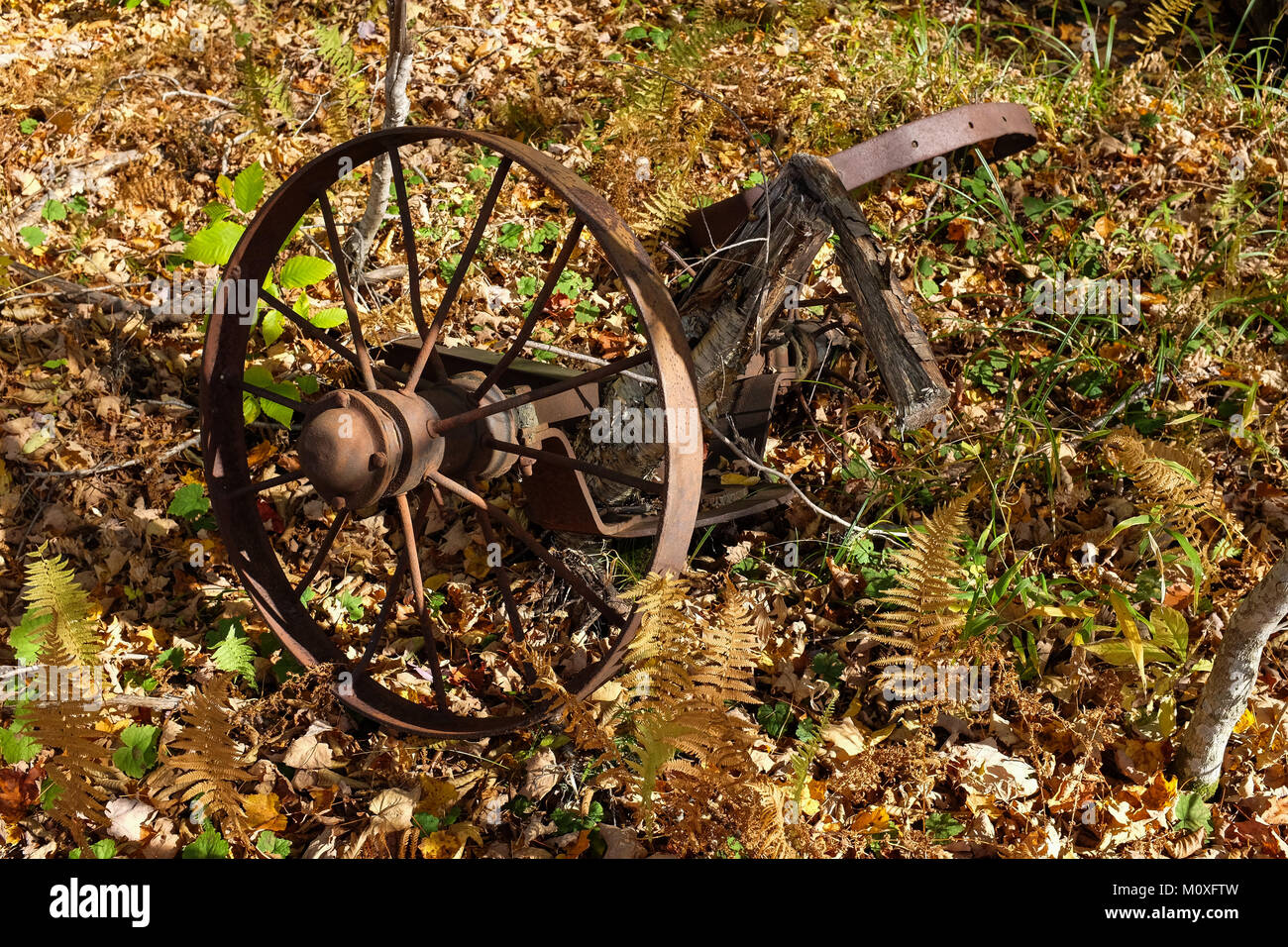 Alte Metall Wagen Rad und Wagen Teile rosten in den Adirondack Wüste verlassen, NY, USA Stockfoto