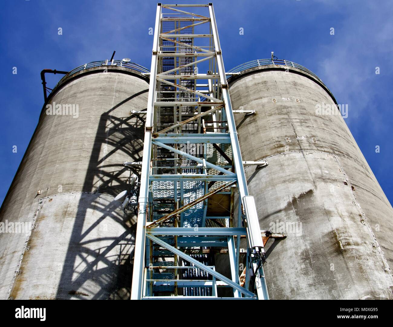 Vertikale Ansicht von Silo Tanks mit Leiter auf einer klaren sonnigen Tag Stockfoto
