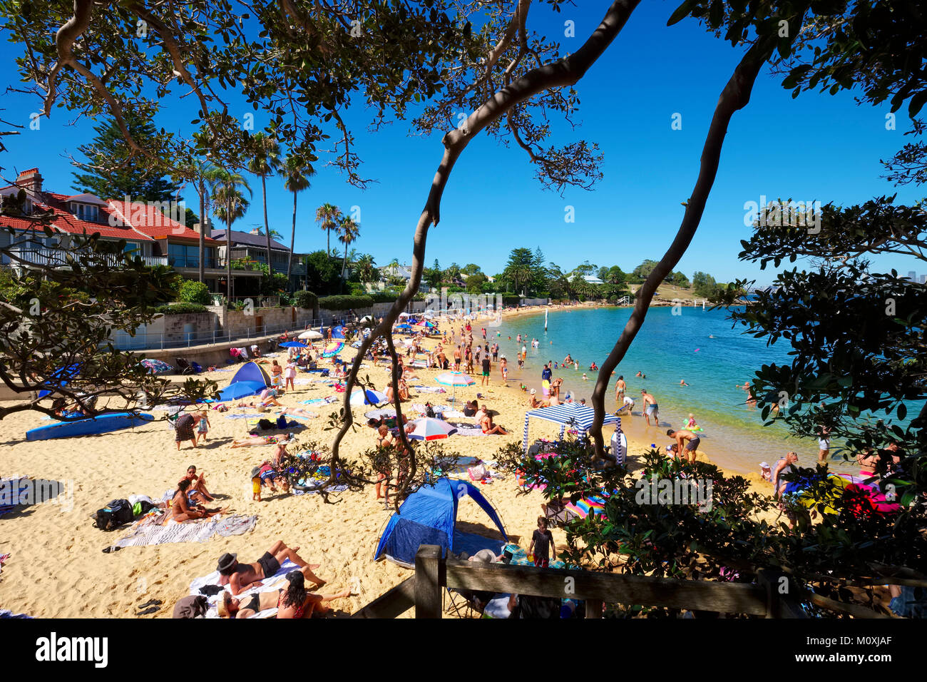 Camp Cove Beach an einem heissen Sommertag, South Head Reserve, Watsons Bay, Sydney, Australien. Stockfoto