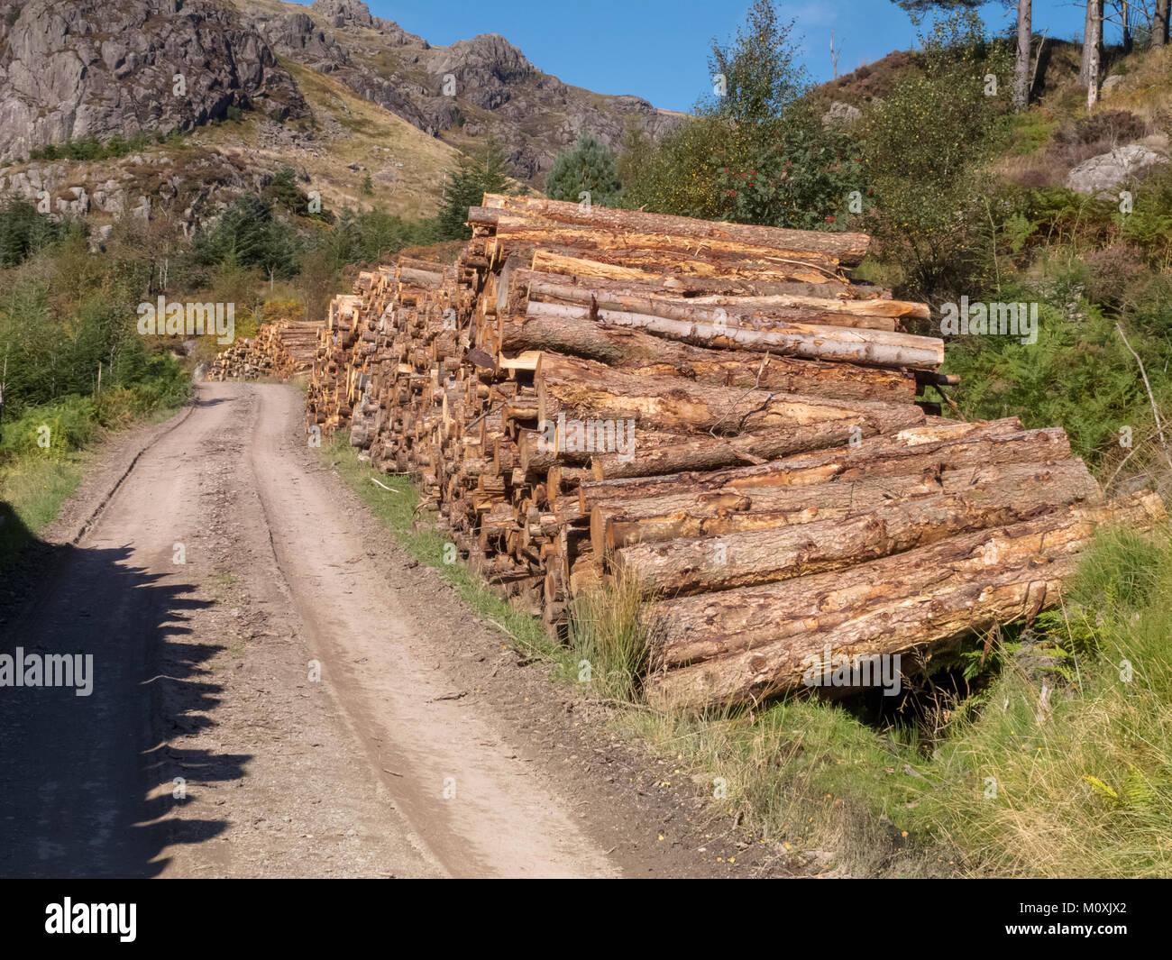 Schwarz Combe ist ein fiel in der südwestlichen Ecke des Lake District National Park, nur 4 Meilen von der Irischen See. Stockfoto