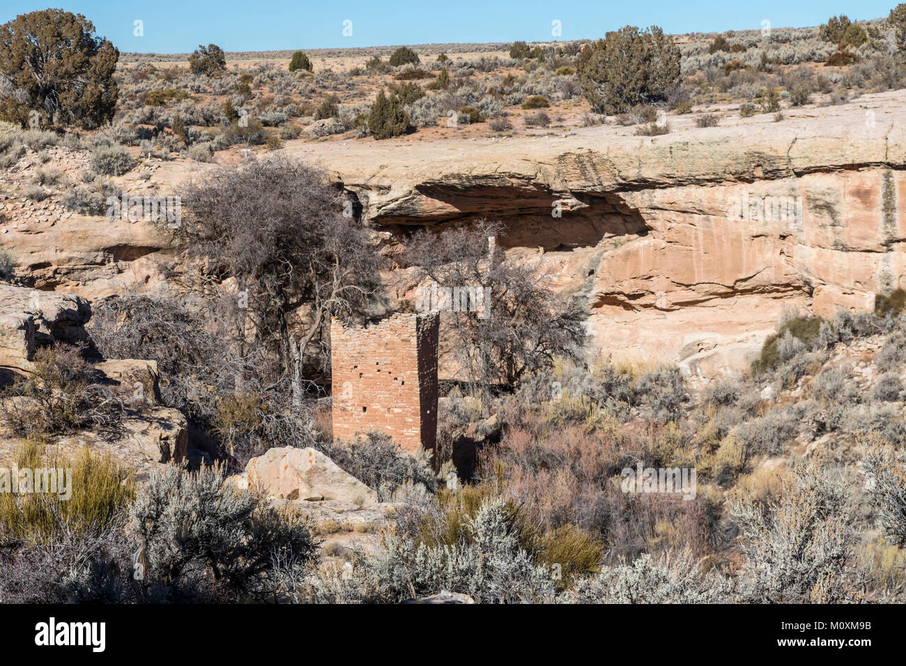 Hovenweep National Monument, Utah - Der quadratische Turm, Teil der Anasazi Ruinen rund um Little Ruin Canyon gelegen. Das zweigeschossige Gebäude hat ein sligh Stockfoto