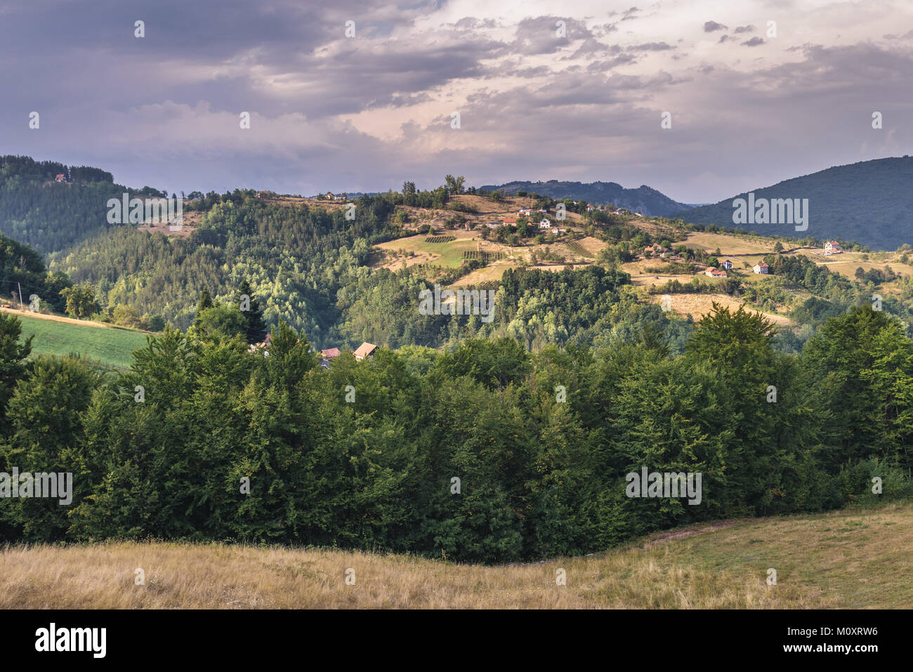 Arilje municipality Fotos und Bildmaterial in hoher Auflösung Alamy