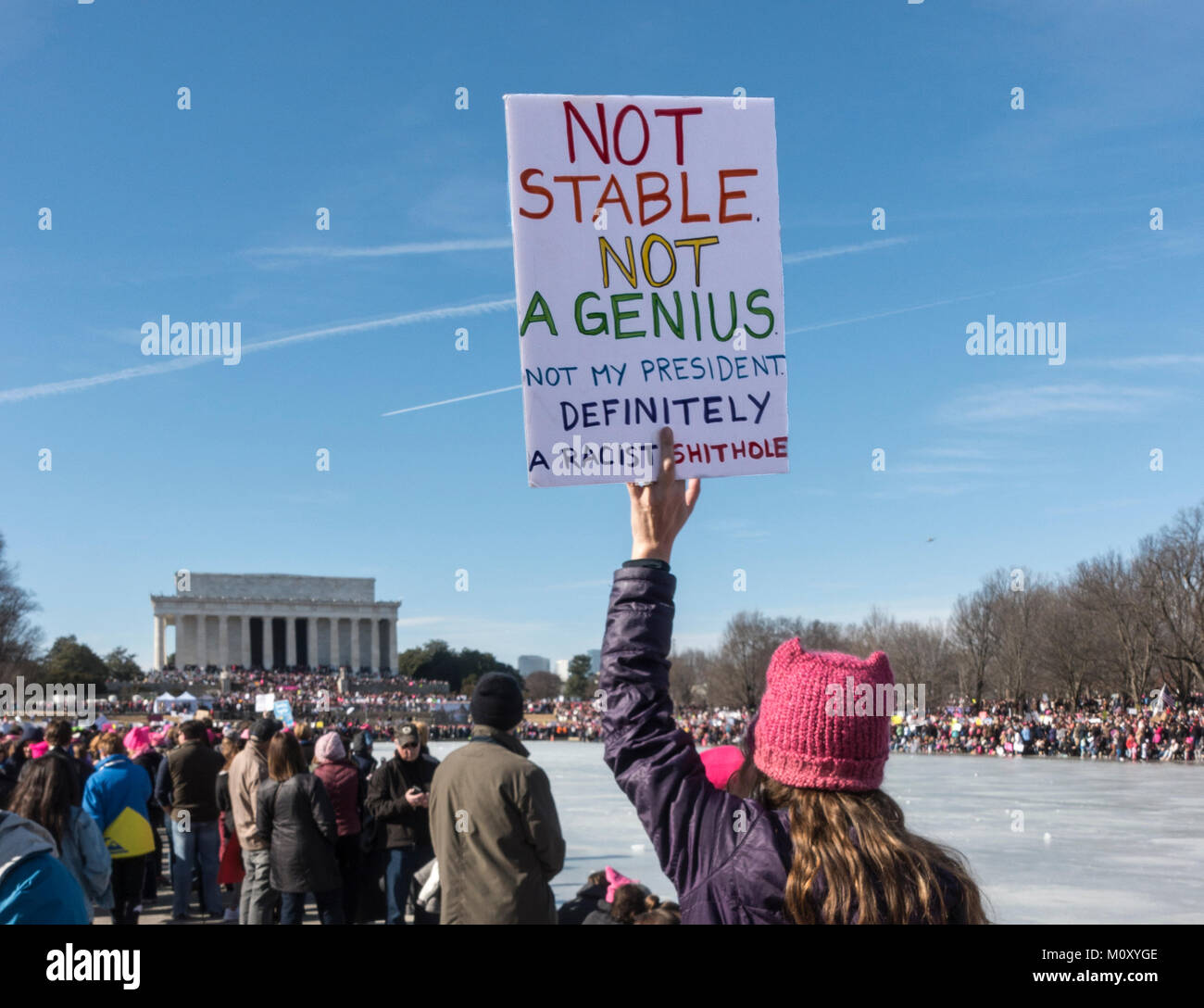 Nicht stabil Nicht Genius, definitiv eine rassistische... Schild; Frauen März und Wähler Rallye am Lincoln Memorial, Jan 20, 2018, Washington, DC. Re: Donald Trump Stockfoto