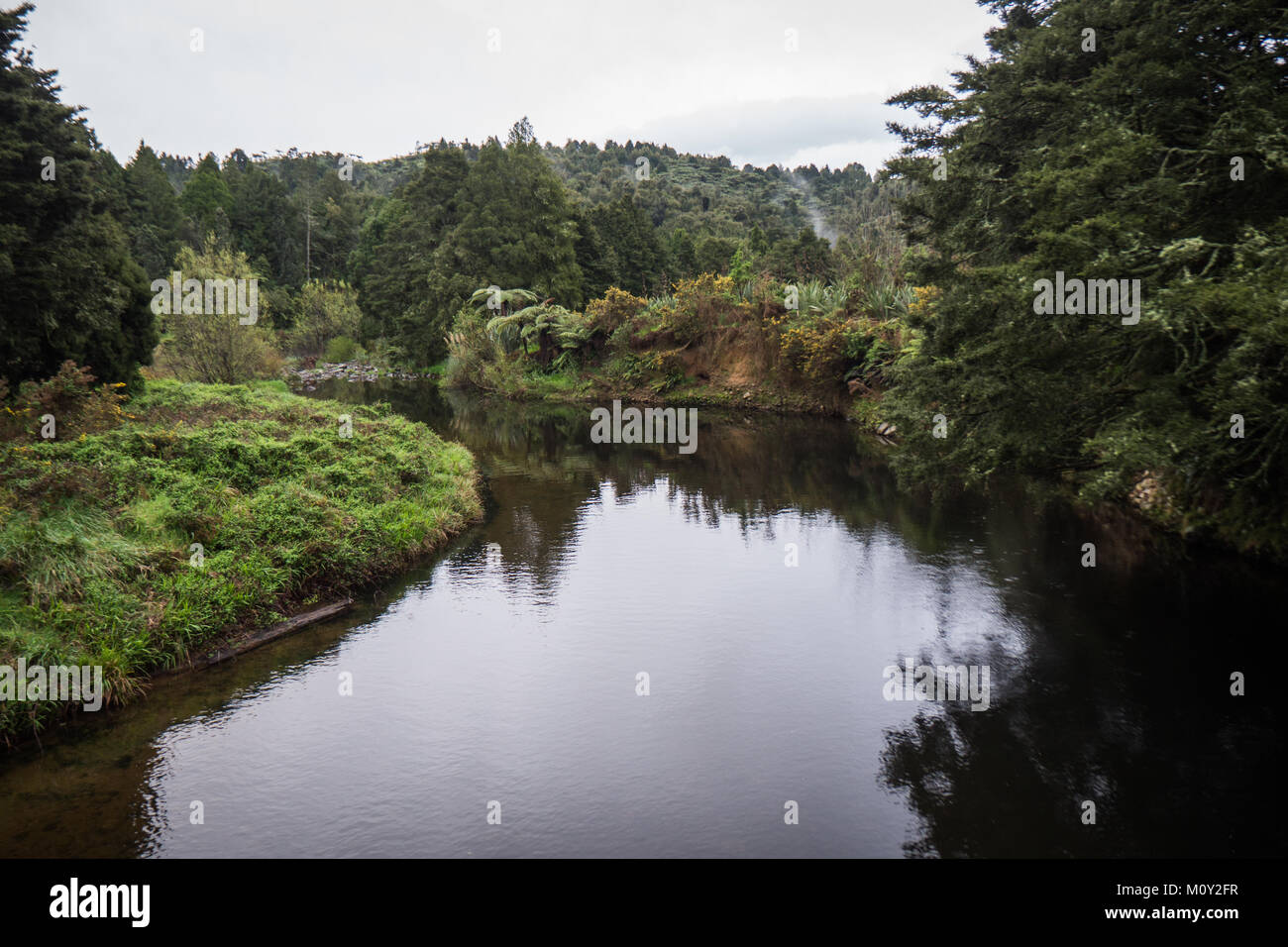 Ruhigen Fluss verläuft durch den Wald bei Dickey Flachbild Campingplatz, Waikino, Neuseeland Stockfoto