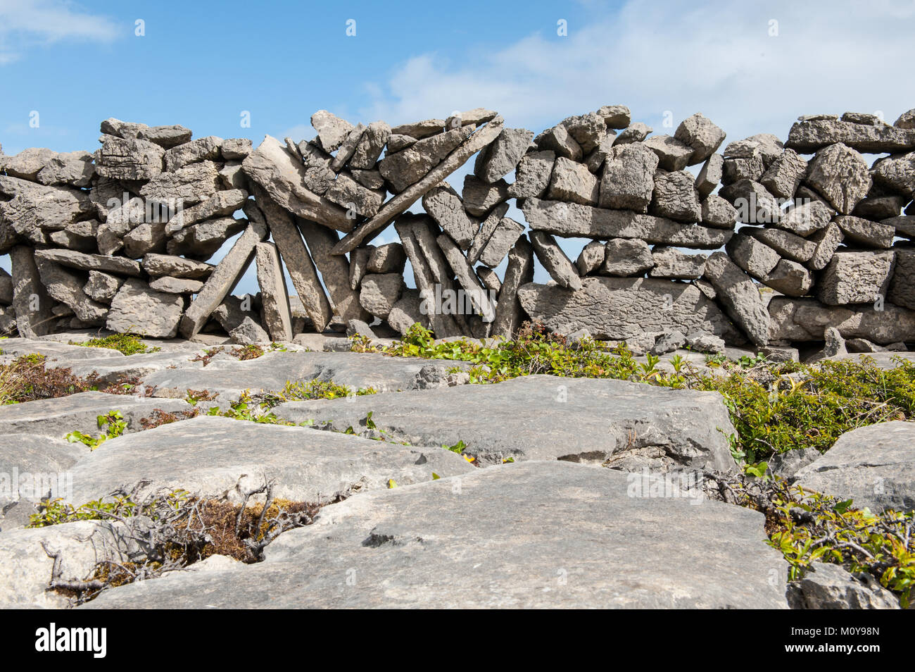 Die typischen Steinmauern Abgrenzung Felder auf die Aran Inseln, eine Gruppe von drei Inseln an der Mündung des Galway Bay, an der Westküste von Irland. Stockfoto