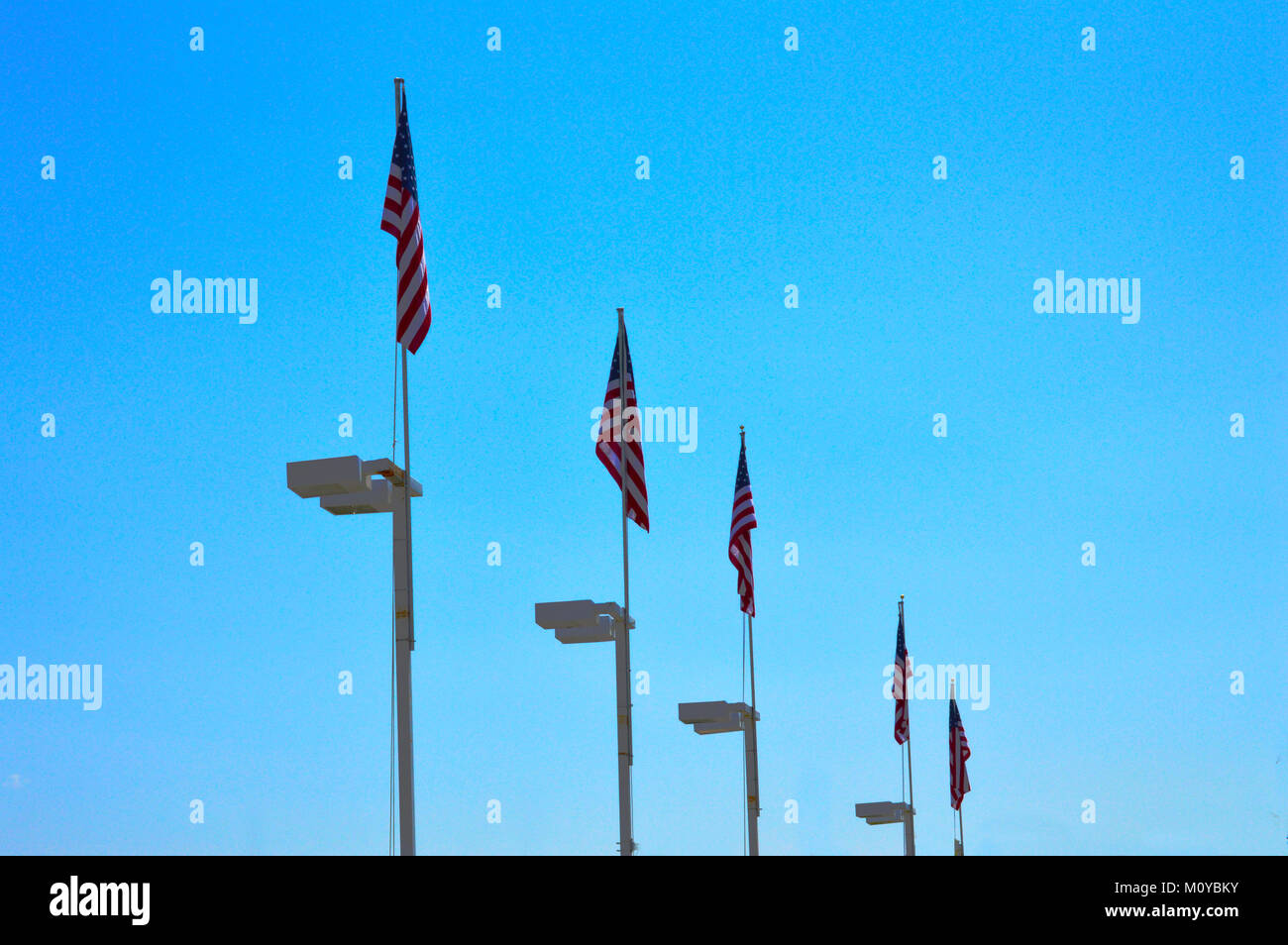 USA Fahnen auf Linie blauer Hintergrund Bild Stockfoto