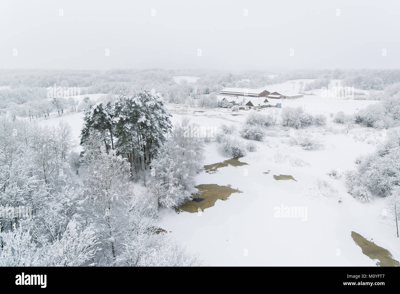 Antenne: Verschneite Landschaft im Winter Stockfoto