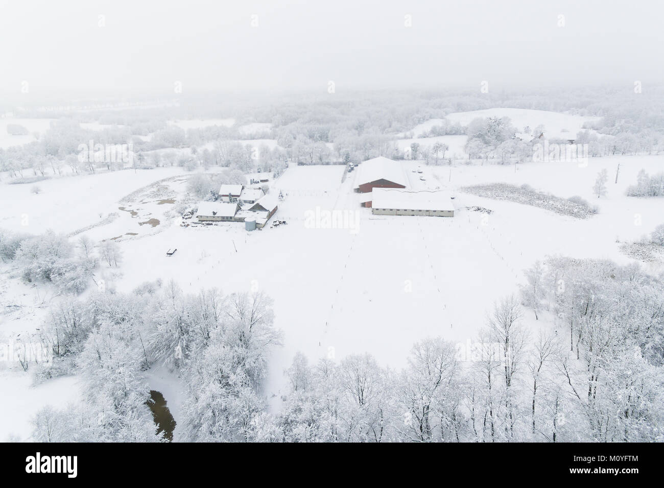 Antenne: Verschneite Landschaft im Winter Stockfoto