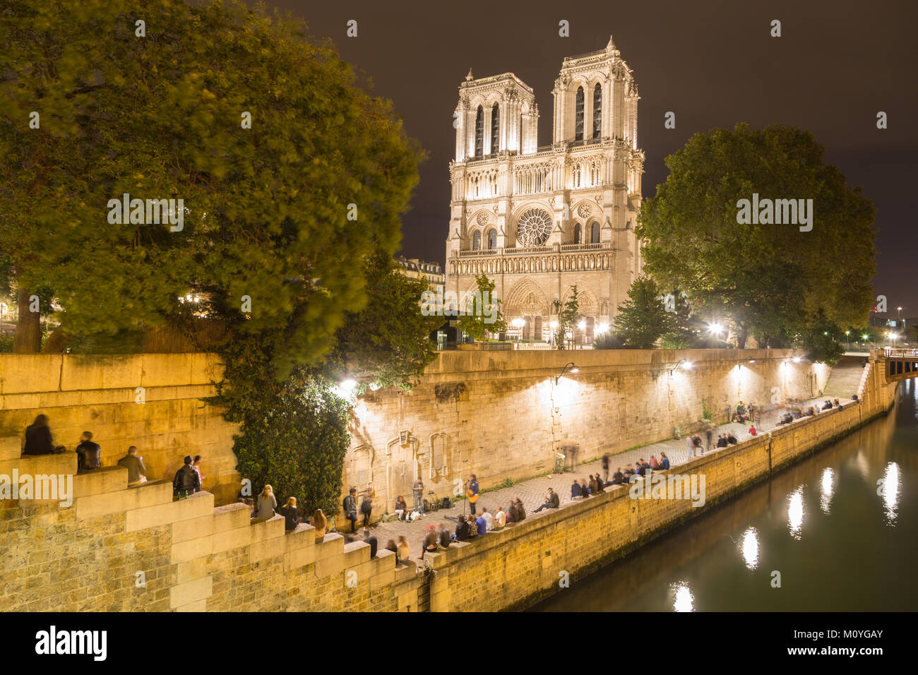 Abendstimmung am Ufer der Seine, hinter der Kathedrale Notre Dame de Paris Paris Paris, Frankreich Stockfoto