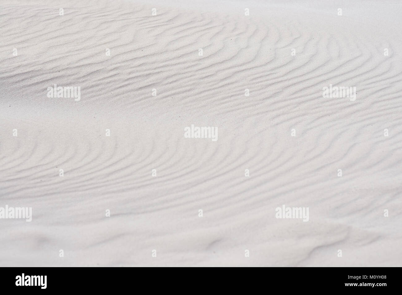 Sand Textur. Das ist Sand aus der Sahara Wüste gemusterten mit starkem Wind Stockfoto