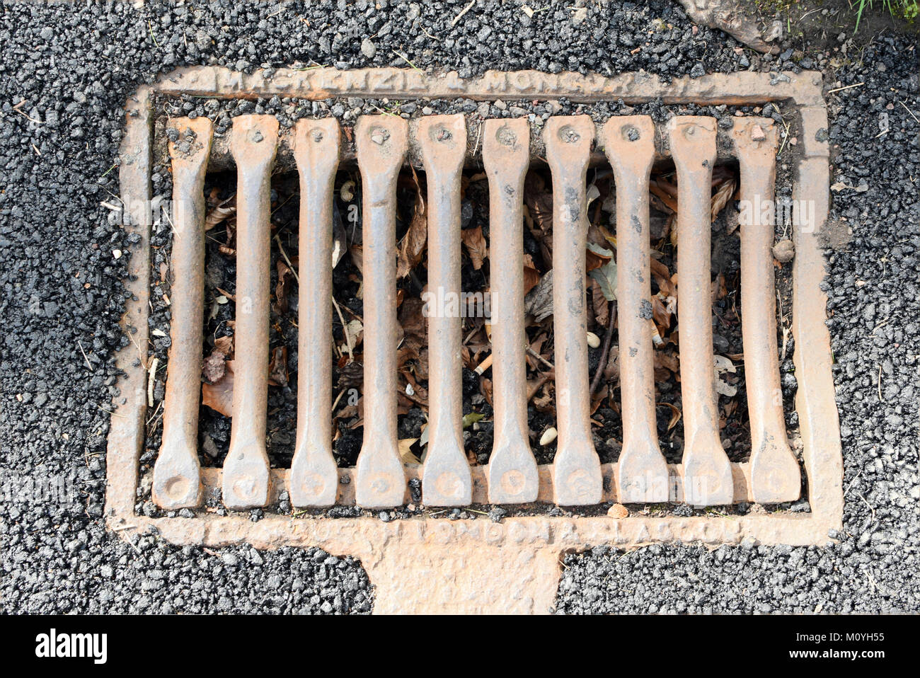 Makenzie und Moncur Ltd, Metall / Eisen Gitter in einer Straße mit Blätter im Herbst in Edinburgh, Schottland blockiert Stockfoto