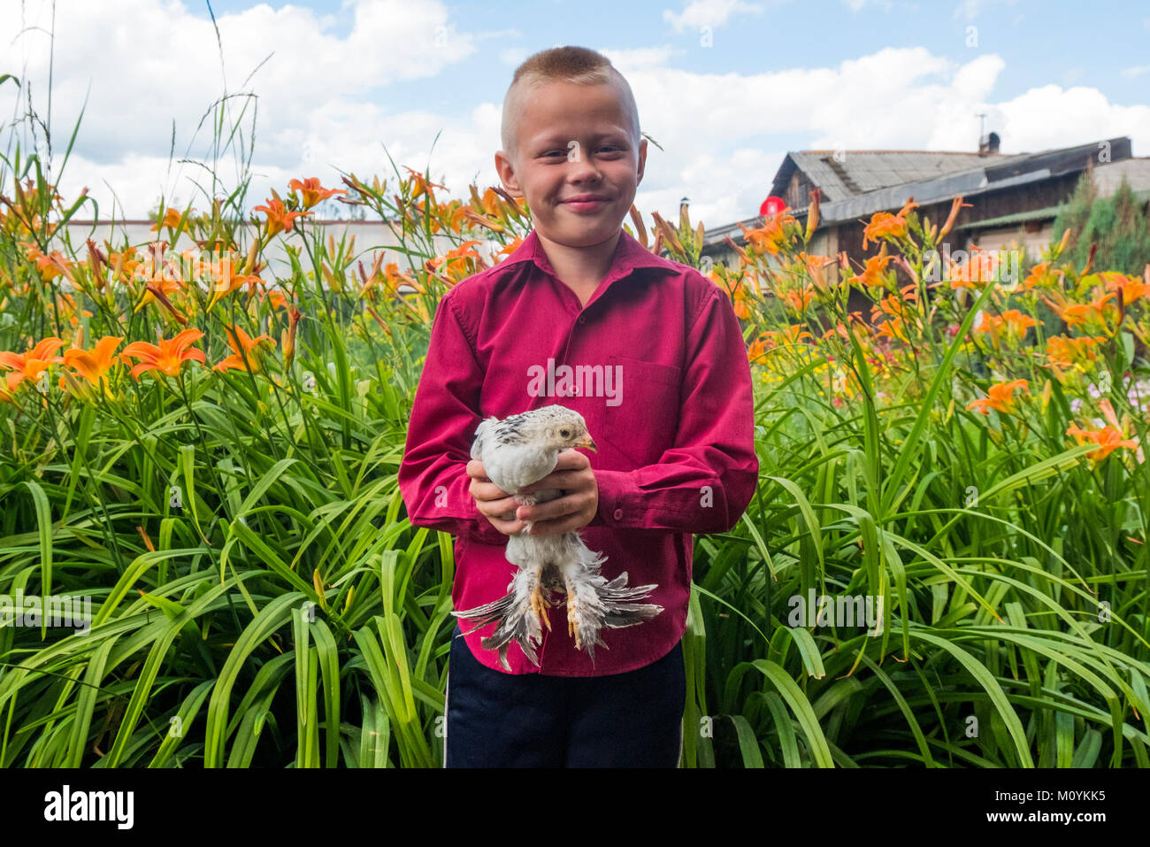 Kaukasische boy Holding Huhn auf der Farm Stockfoto