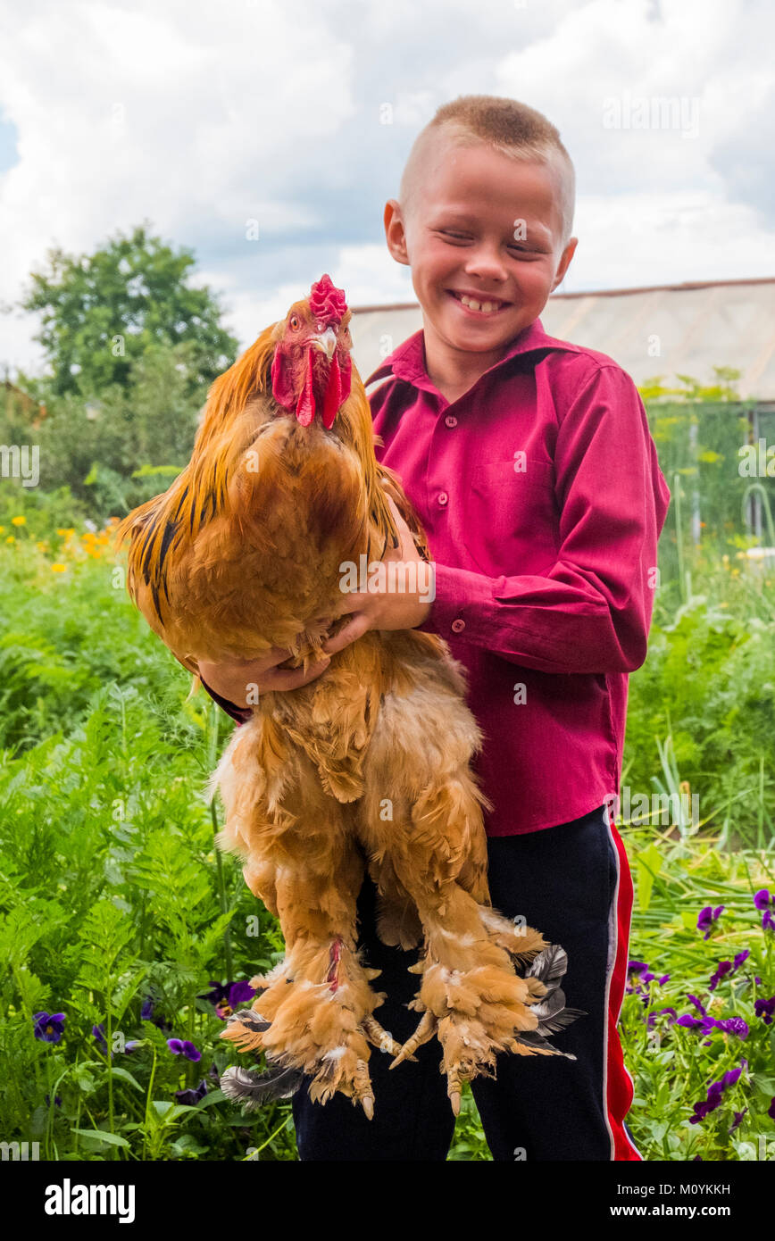 Kaukasische boy Holding Hahn auf dem Bauernhof Stockfoto