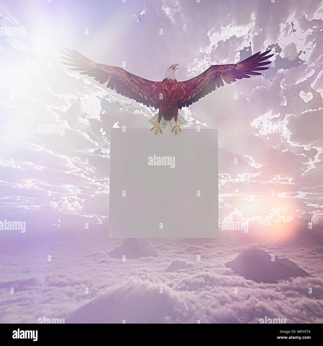 Adler fliegen in Sky Holding leer Zeichen Stockfoto
