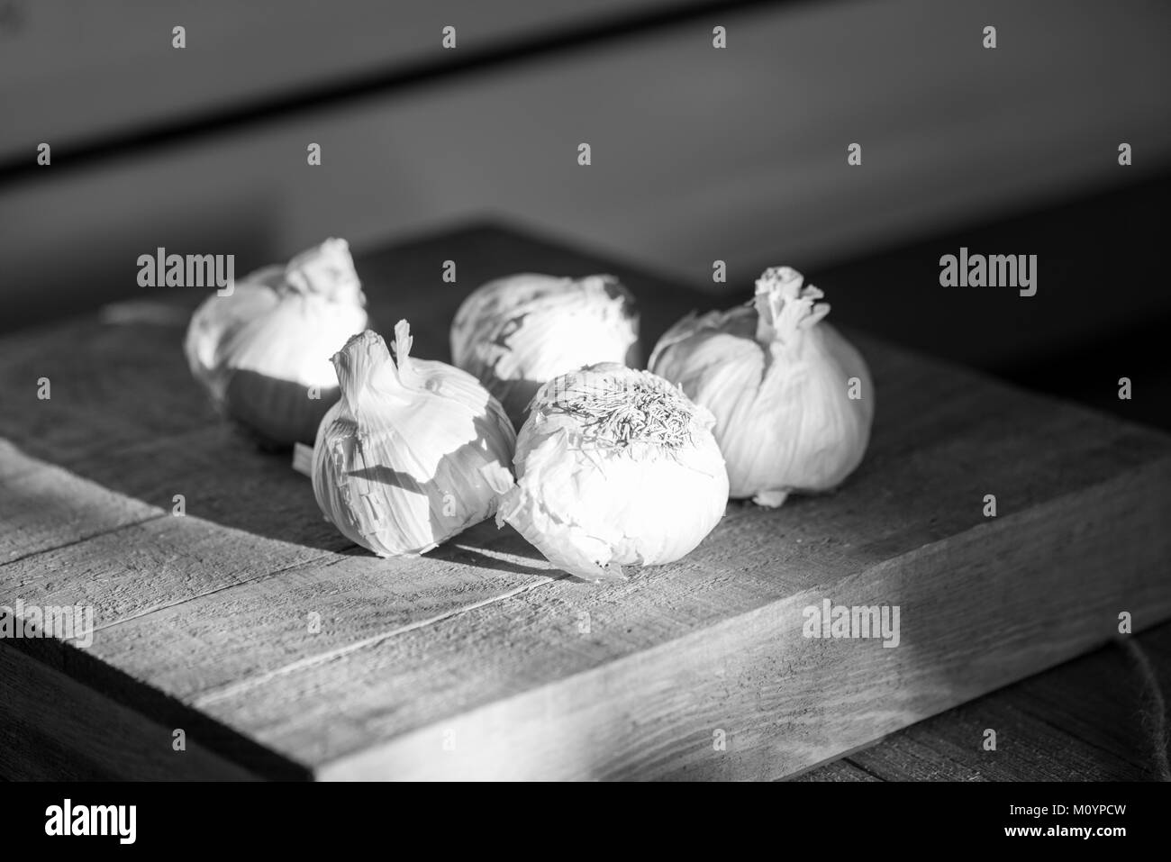 Schwarz-weiß Bild von mehreren Knoblauch Zwiebeln in Moody natürliche Beleuchtung auf einem Holzbrett Stockfoto