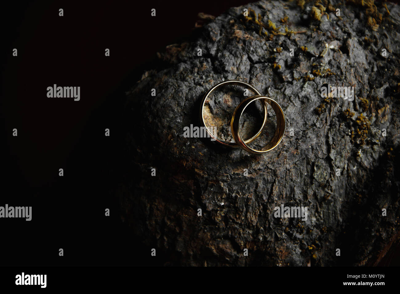 Zwei Trauringe auf Holz- Hintergrund. Low Key still life Fotografie Stockfoto