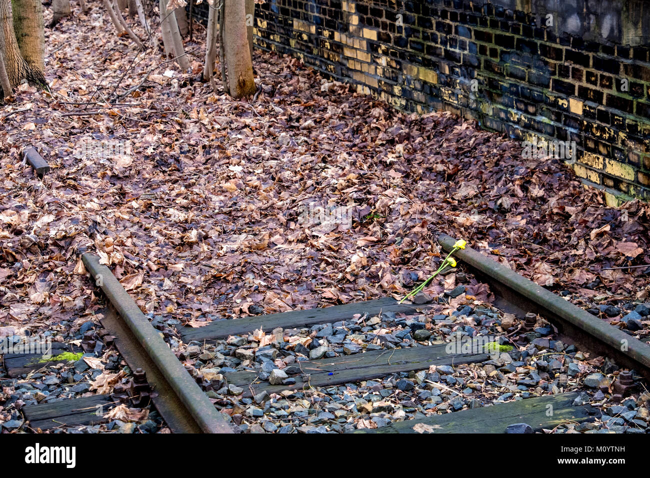 Berlin-Grunewald station. Deutsche Bahn Gleis 17 (Plattform 17) Deportation Memorial Deportation von 50 000 Juden in die Vernichtungslager von 1941 bis 1945 Stockfoto