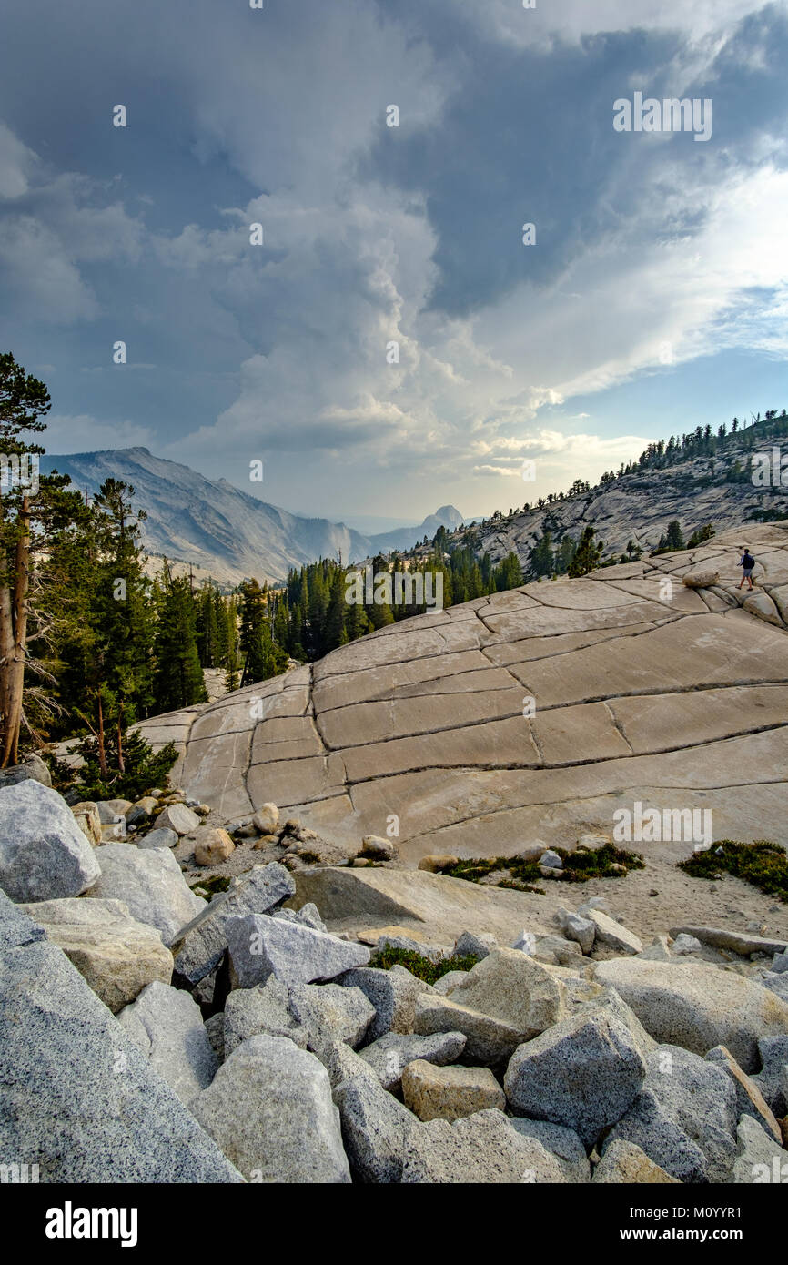 Yosemite Nationalpark, Kalifornien, USA Stockfoto