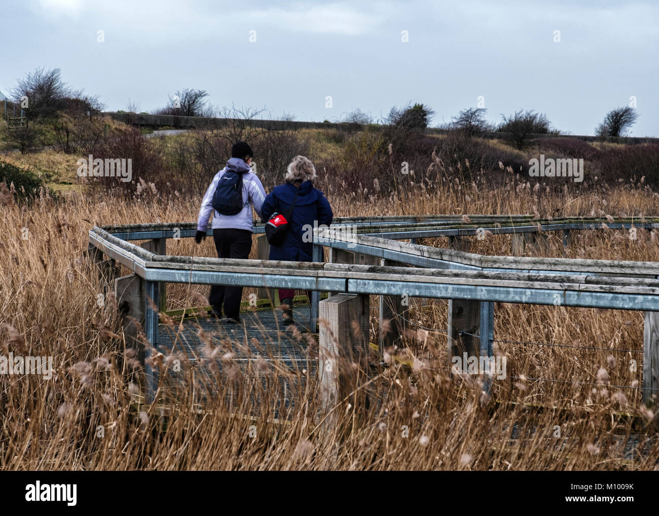 Essex, UK. Pfad in Rainham Marshes RSPB Nature Reserve neben Thames Estuary in Purfleet, Menschen auf Holz weg der großen wetland Bird Sanctuary Stockfoto