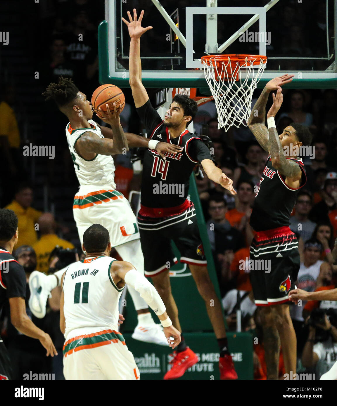 Coral Gables, Florida, USA. 24 Jan, 2018. Miami Hurrikane guard Lonnie Walker IV (4) Laufwerke an den Korb gegen Louisville Kardinäle weiterleiten Anas Mahmoud (14) und Louisville Kardinäle weiterleiten Ray Spalding (13) während der zweiten Hälfte des Basketball der NCAA Men Spiel zwischen der Louisville Kardinäle und an der Universität von Miami Hurricanes am Watsco Zentrum in Coral Gables, Florida. Miami gewann 78-75. Mario Houben/CSM/Alamy leben Nachrichten Stockfoto