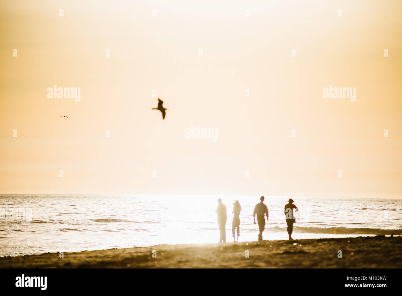 Topanga, Kalifornien, USA. 24 Jan, 2018. Goldene Stunde beginnt in den späten Nachmittag am Topanga State Beach in Topanga, Kalifornien. Credit: Morgan Lieberman/ZUMA Draht/Alamy leben Nachrichten Stockfoto