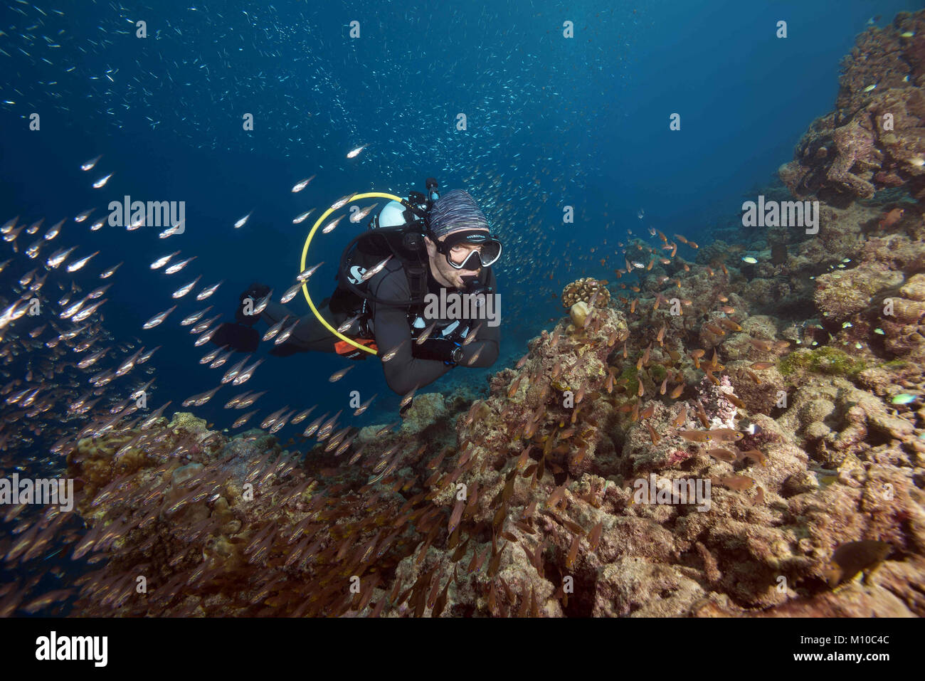 Indischer Ozean, Malediven. 5. Sep 2017. Männliche Scuba Diver und Schule der Glas Fische - pigmy Sweeper Credit: Andrey Nekrasov/ZUMA Draht/ZUMAPRESS.com/Alamy leben Nachrichten Stockfoto