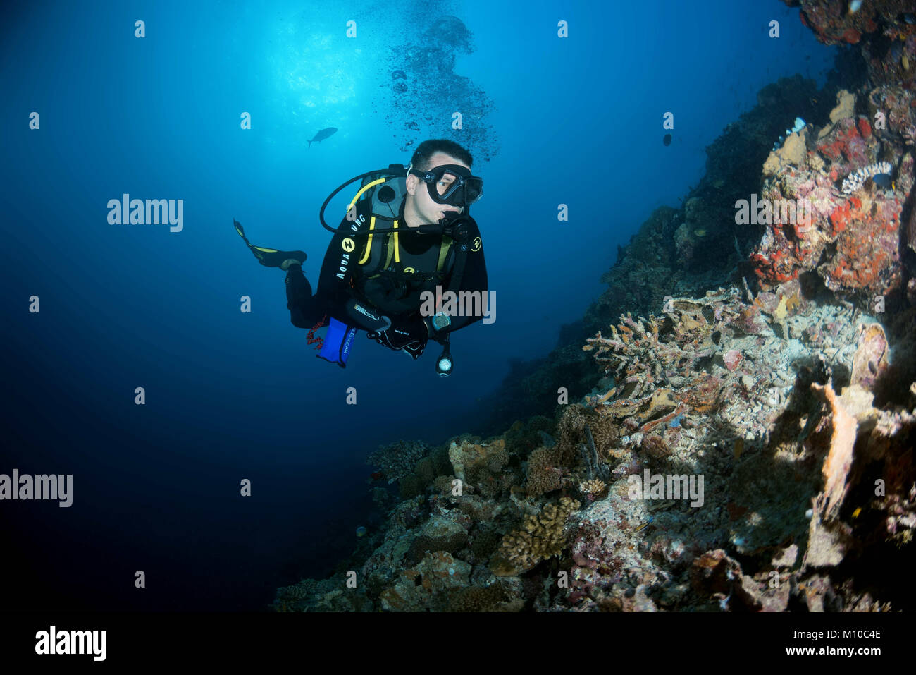 Indischer Ozean, Malediven. 31 Aug, 2017. Männliche Scuba diver Schwimmen in der Nähe von Coral Reef Credit: Andrey Nekrasov/ZUMA Draht/ZUMAPRESS.com/Alamy leben Nachrichten Stockfoto