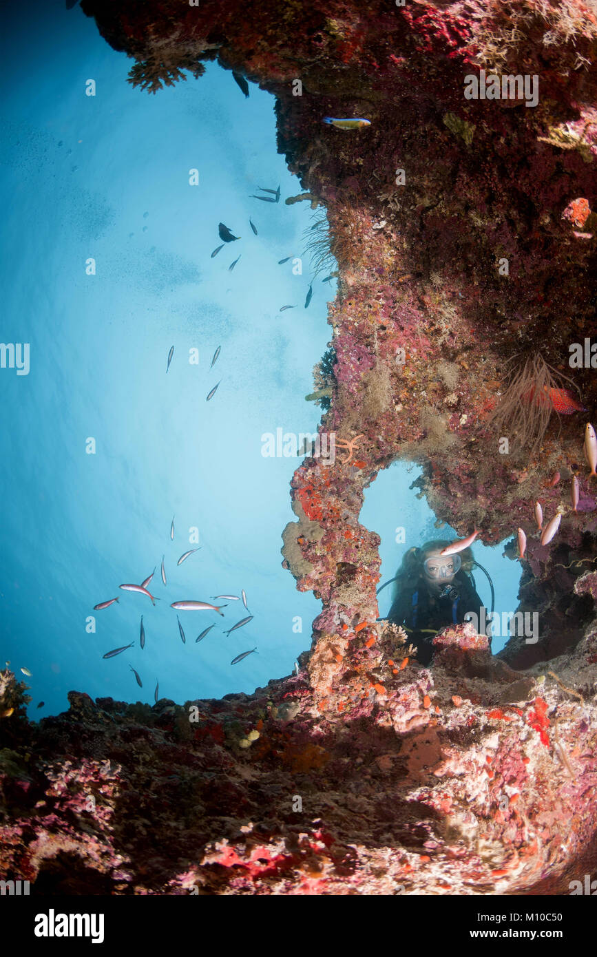 Indischer Ozean, Malediven. 6. Sep 2017. Weibliche Scuba diver Blick auf SCOOL von Fisch in der Höhle Credit: Andrey Nekrasov/ZUMA Draht/ZUMAPRESS.com/Alamy leben Nachrichten Stockfoto