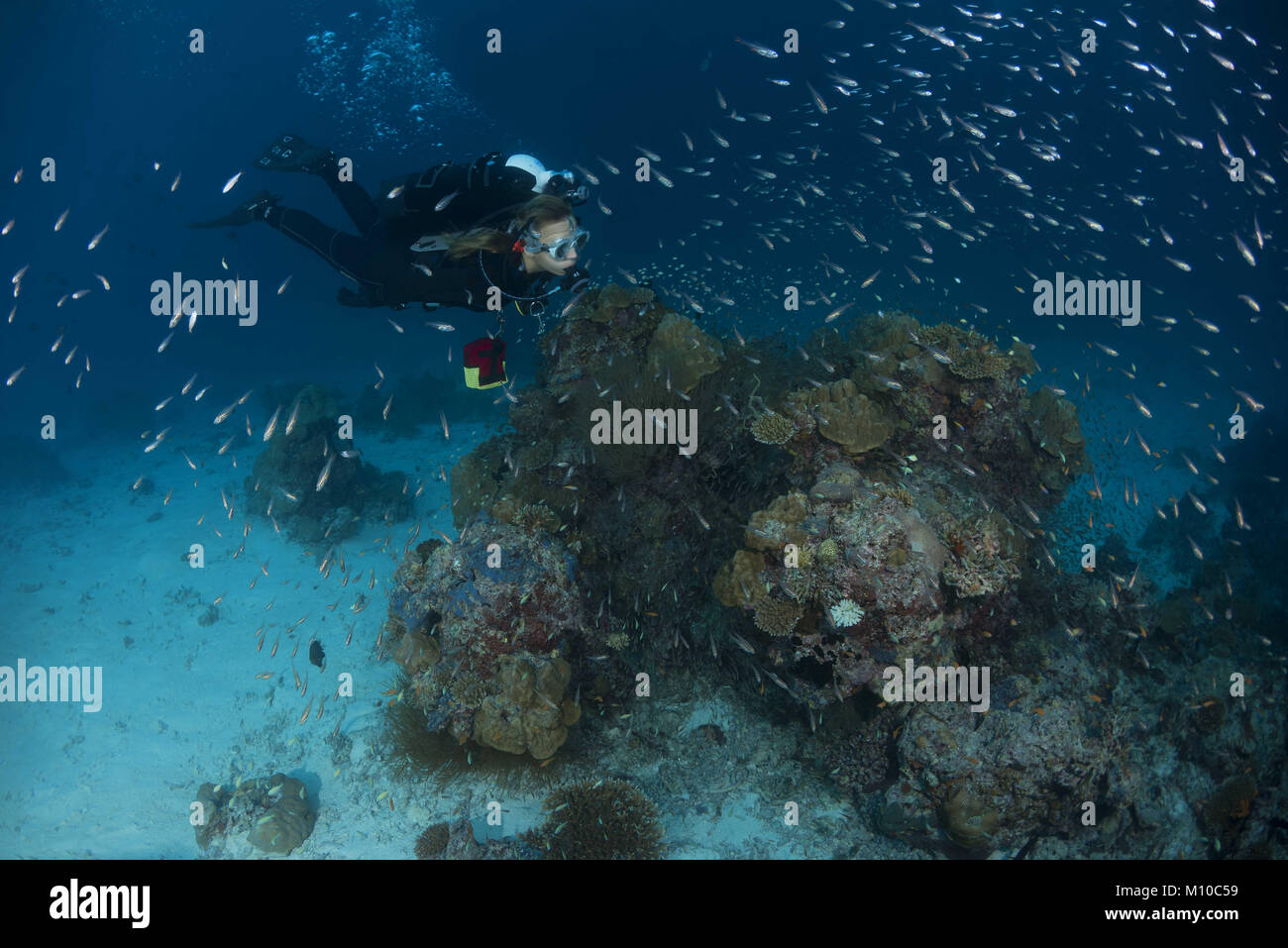 September 6, 2017 - Indischer Ozean, Malediven - Female Scuba diver Schwimmen in der Nähe von Coral Reef (Credit Bild: © Andrey Nekrasov/ZUMA Draht/ZUMAPRESS.com) Stockfoto