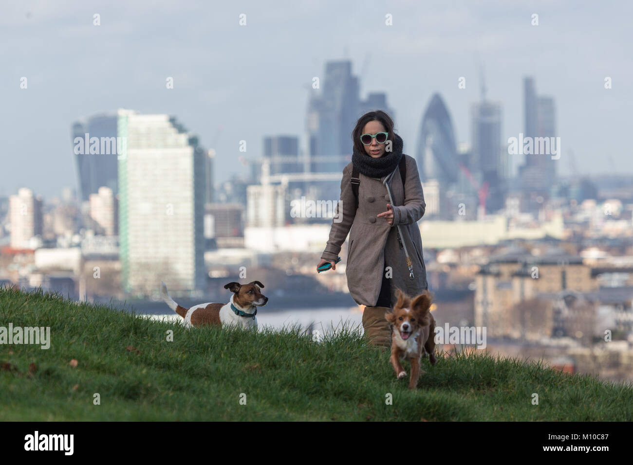 In Greenwich, London, Vereinigtes Königreich. 25. Januar, 2018. Greenwich Park in South East London genossen ein sonnigen Tag nach mehreren Tagen des grauen, nassen Wetter. Credit: Rob Powell/Alamy leben Nachrichten Stockfoto