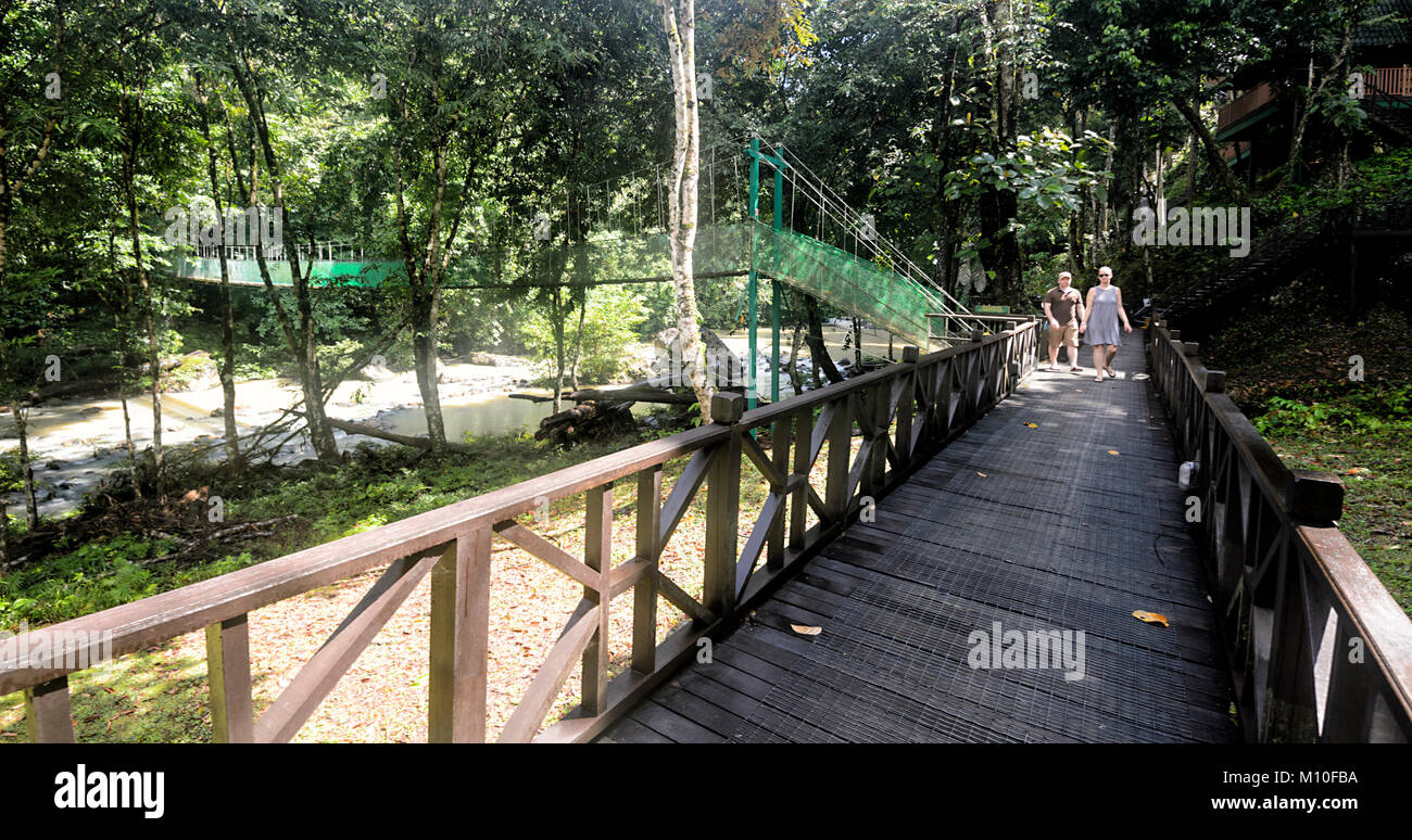 Paar auf der Promenade in Tabin Wildlife Resort, Sabah, Borneo, Malaysia Stockfoto