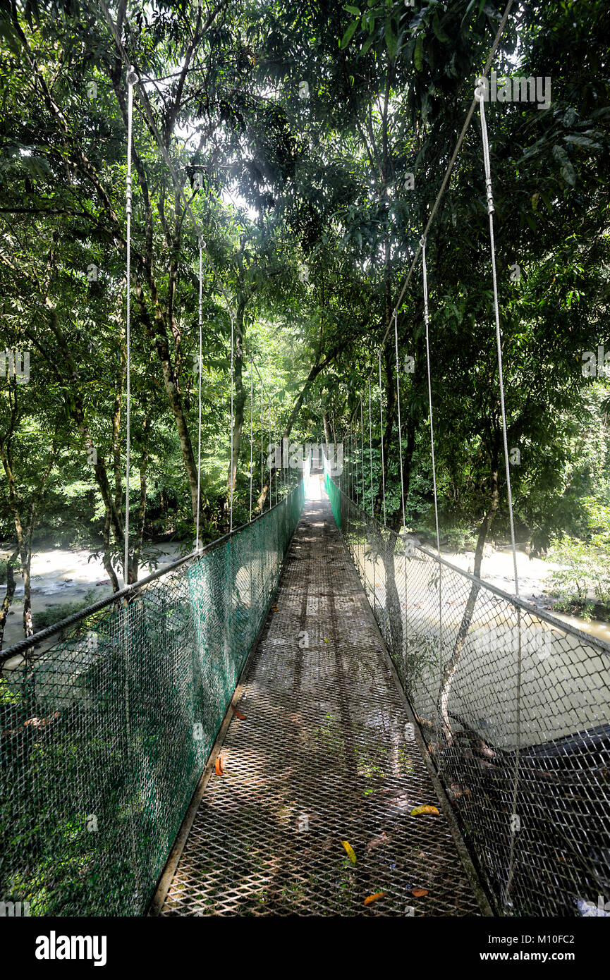 Hängebrücke über den Fluss an Tabin Wildlife Resort, Sabah, Borneo, Malaysia Stockfoto