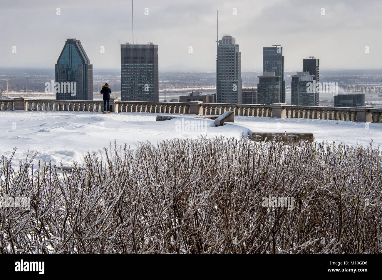 Skyline von Montreal im Winter mit Büschen bedeckt mit Eis Stockfoto