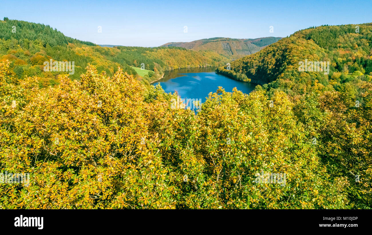 Vogelperspektive auf die schöne Landschaft mit See und grüner Wald von oben durch eine Drohne getroffen Stockfoto