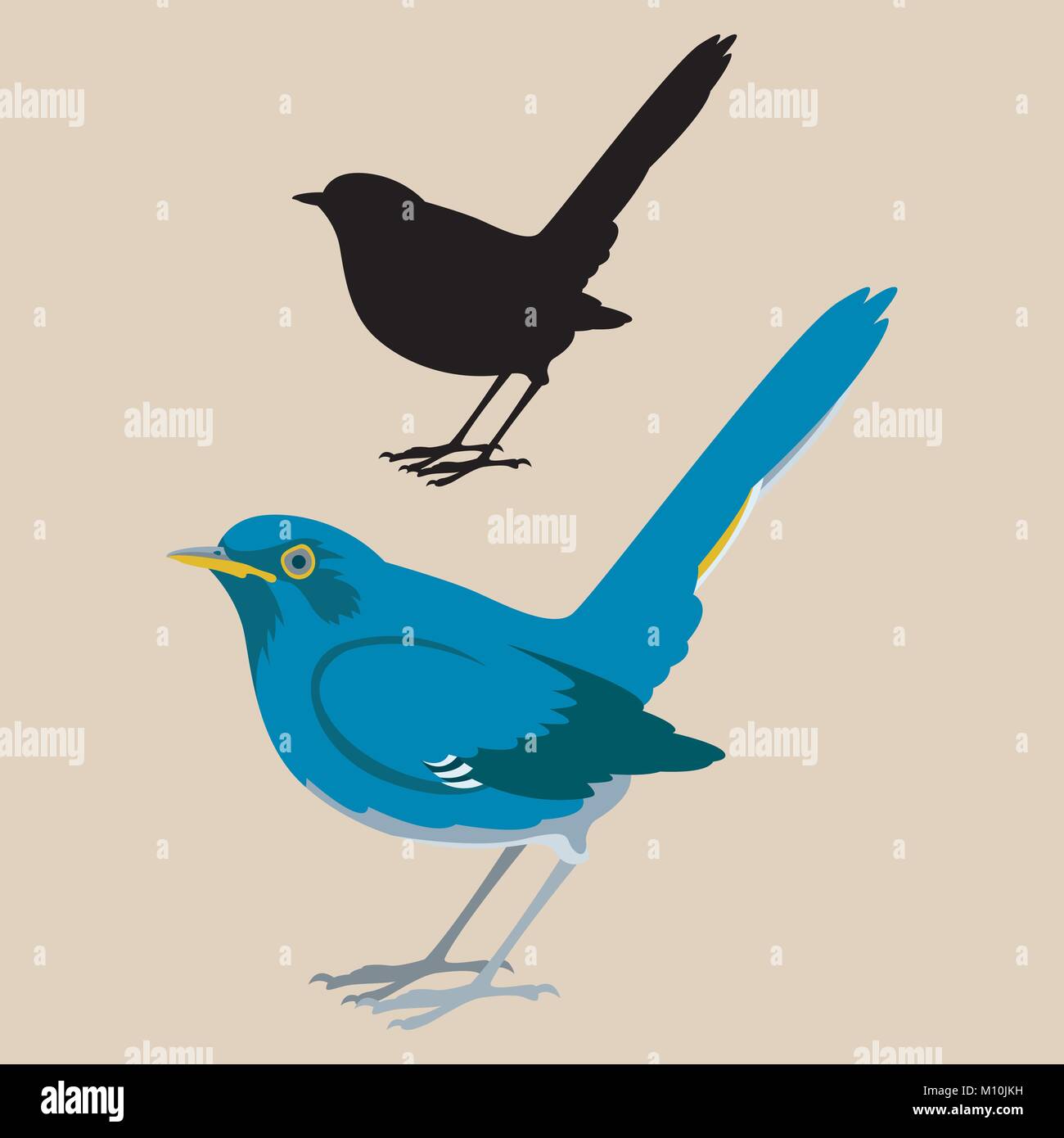 White-bellied Redstar vogel Vektor-illustration Flat Style schwarze Silhouette Stock Vektor