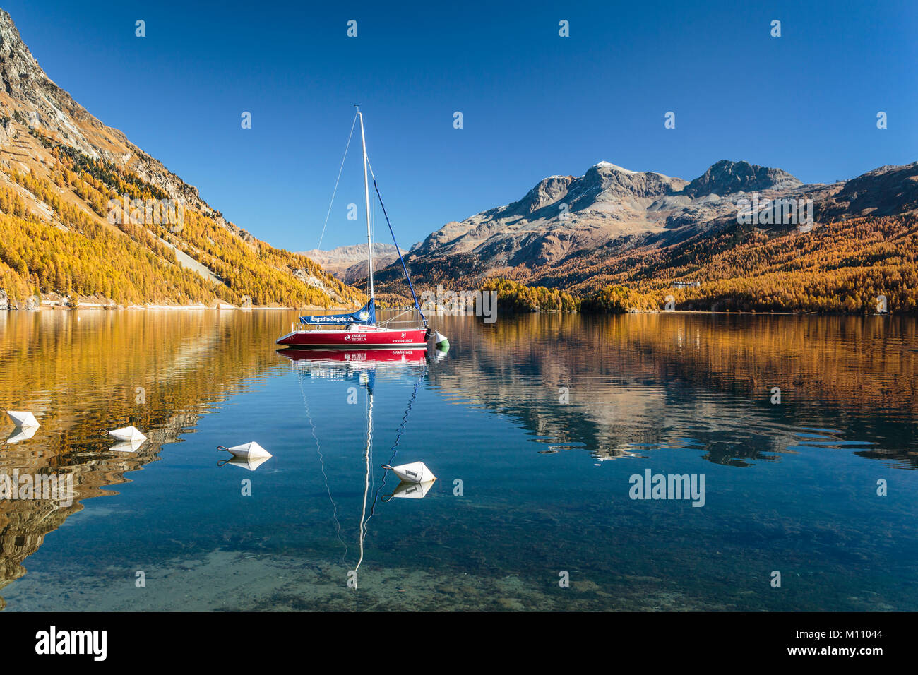 Herbst Laub Farbe in der Lärchen und ein Segelboot in See Sils im Engadin, Graubuden, Schweiz, Europa wider. Stockfoto