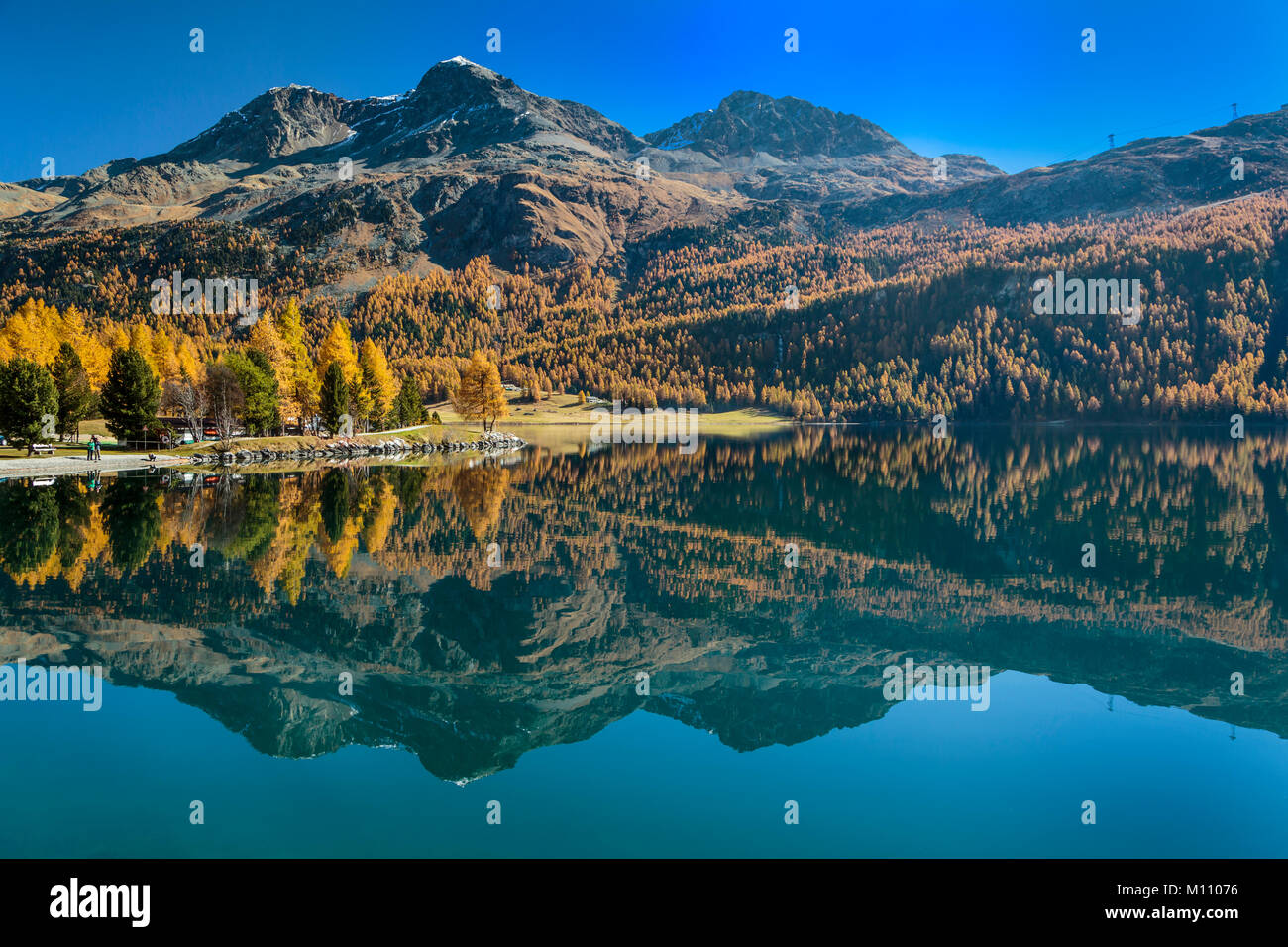 Herbst Laub Farbe in der Lärchen im Engadin, Graubuden, Schweiz, Europa. Stockfoto
