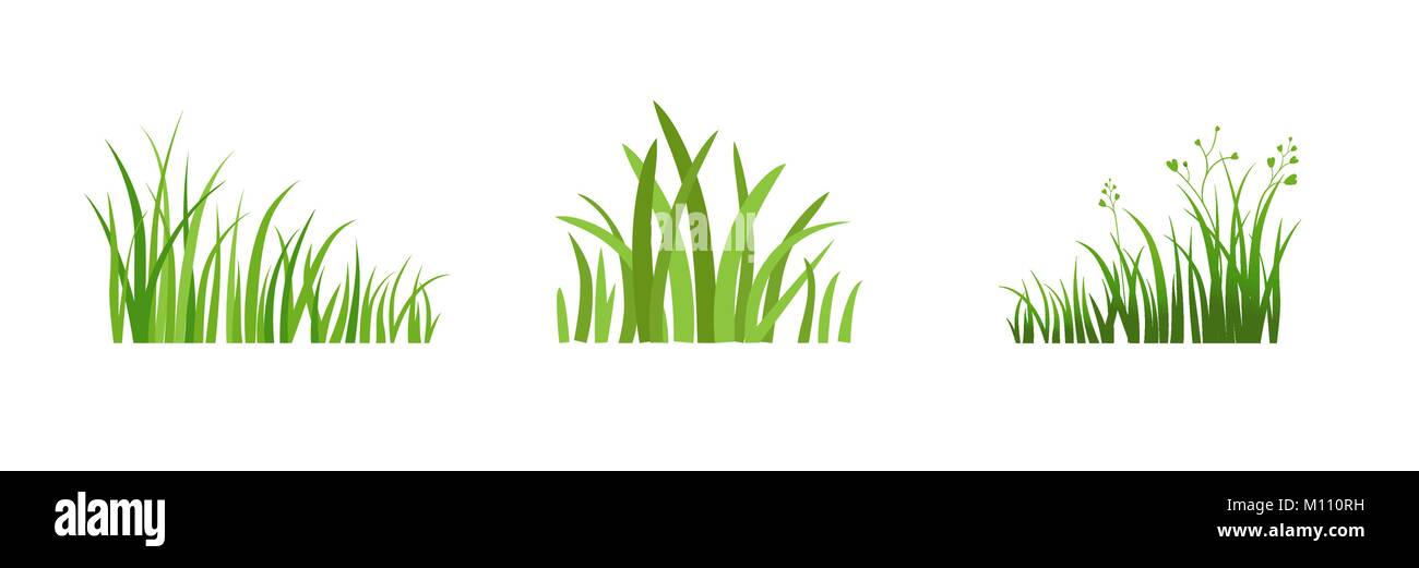 Element Eco Green Grass Stock Vektor