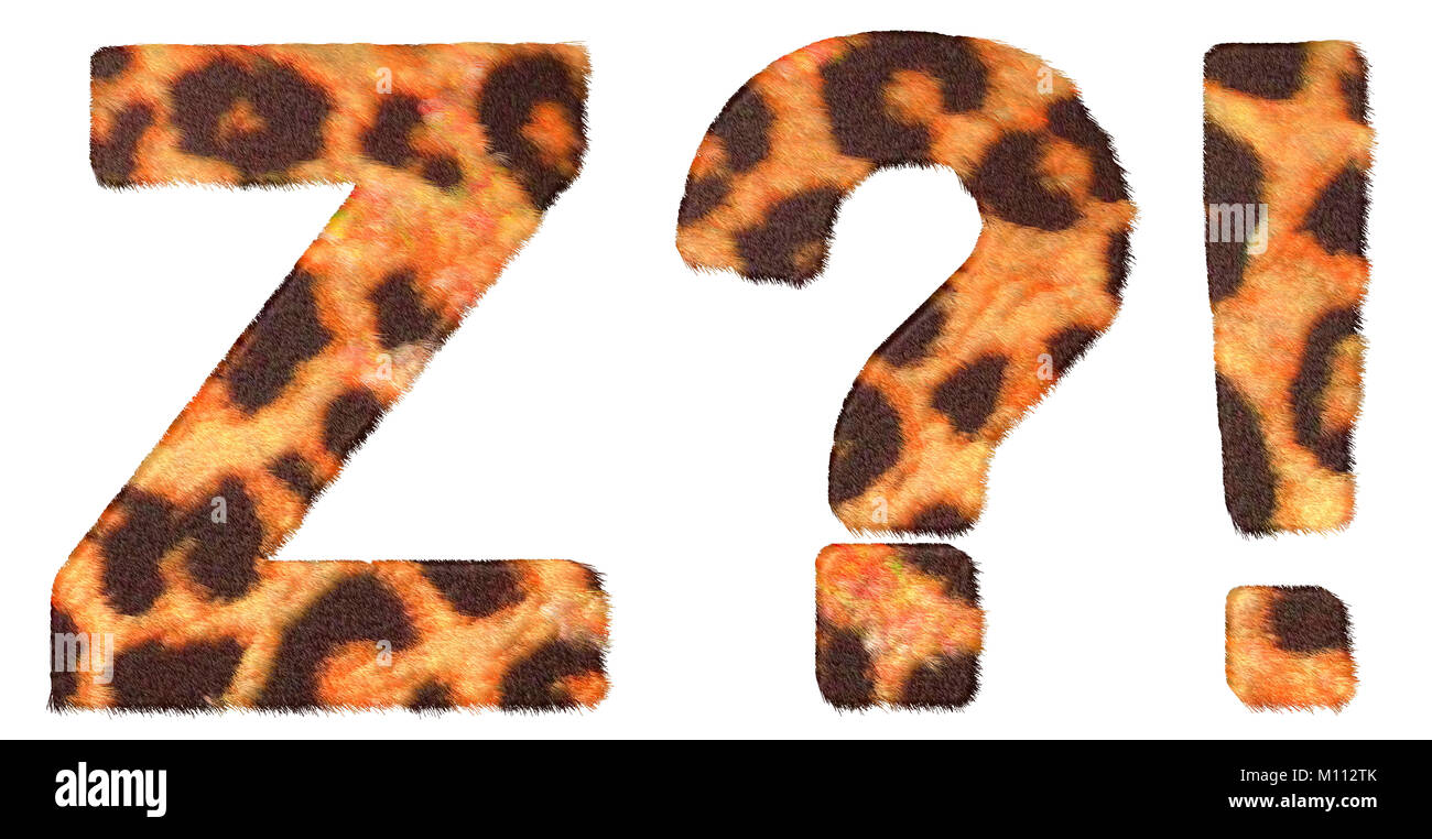 Leopard Fell font Z und Wow, was Symbole isoliert über Weiß Stockfoto