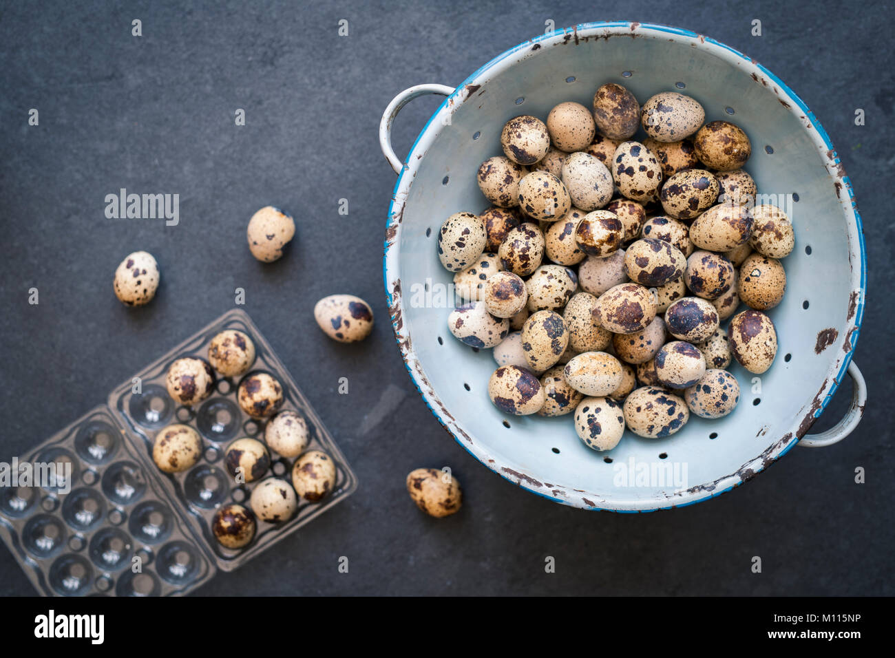 Wachteleier in einem altmodischen Emaille Sieb auf einer Schiefertafel Hintergrund Stockfoto