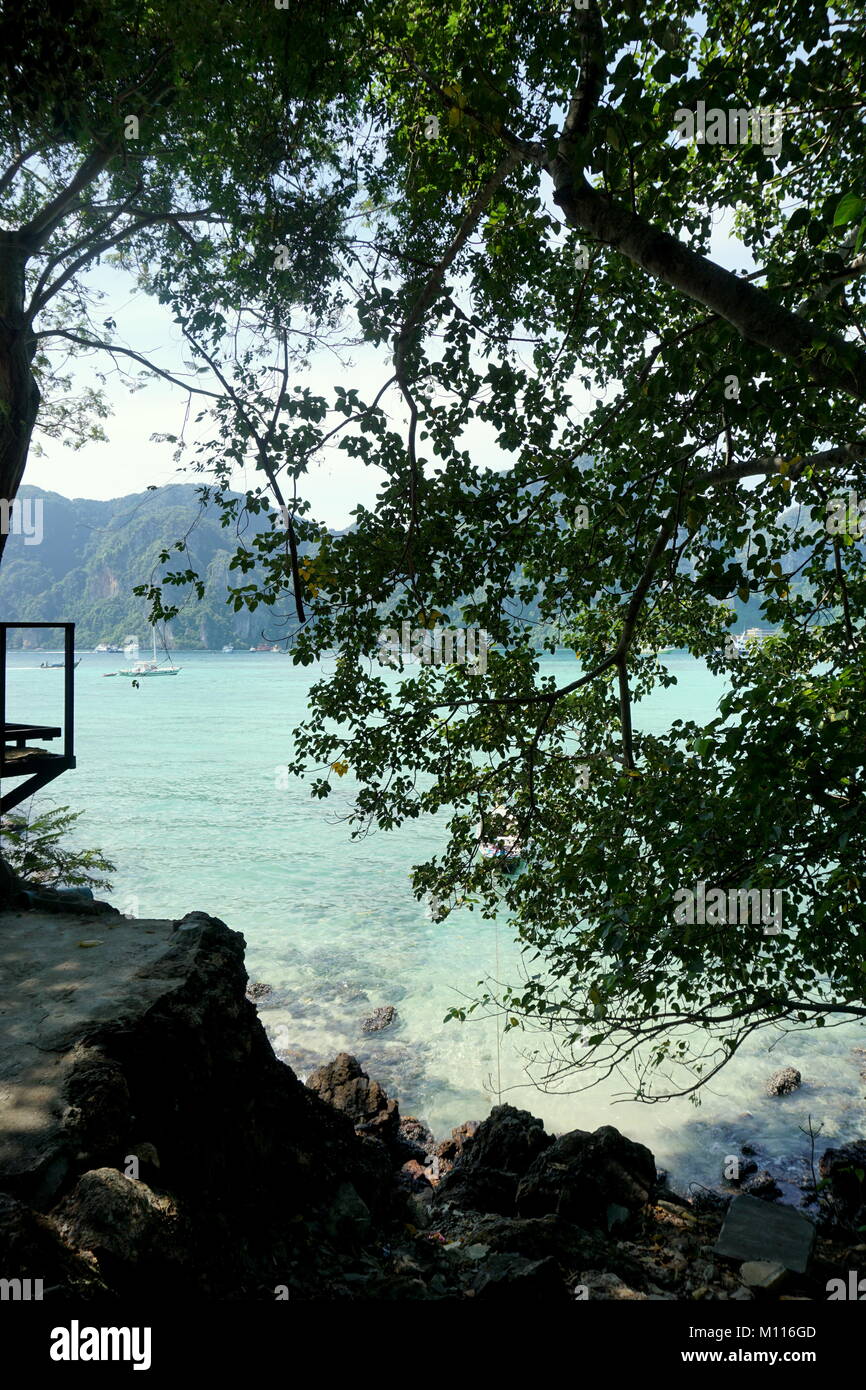 Mit Blick auf das türkisfarbene Wasser der Insel Koh Phi Phi Don mit einem Baum und Felsformationen im Fokus und die berühmten Klippen hinter dem Wasser im Hintergrund. Stockfoto