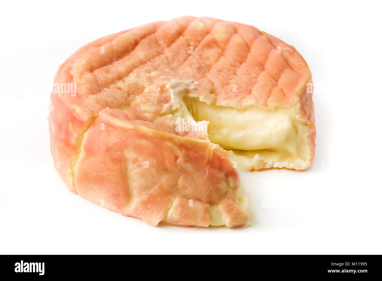 Epoisses de Bourgogne Käse auf weißem Hintergrund Stockfoto
