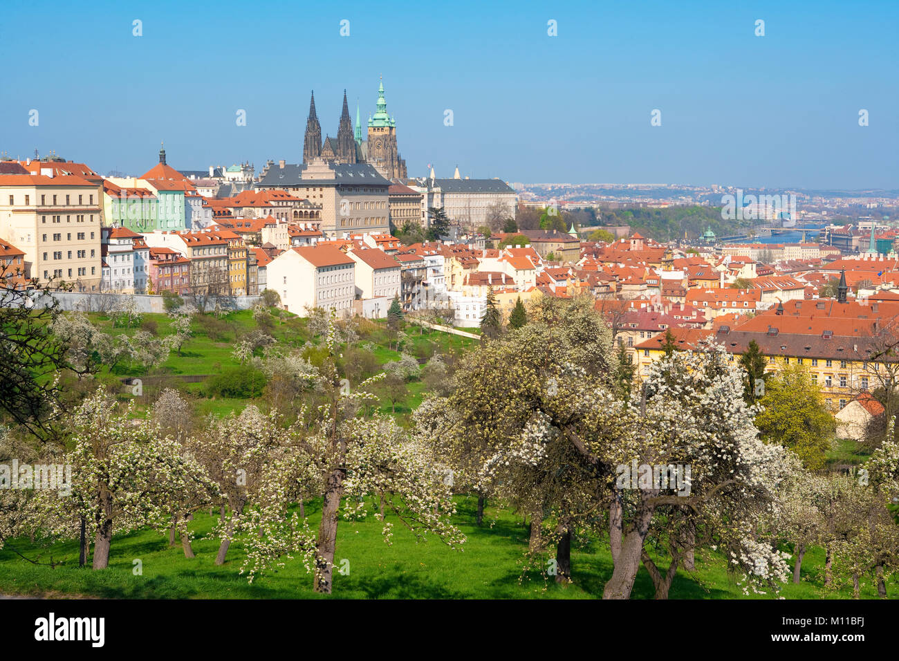Tschechische Republik, Prag - hradschin Burg und der St. Veits-Kathedrale im Frühjahr Stockfoto