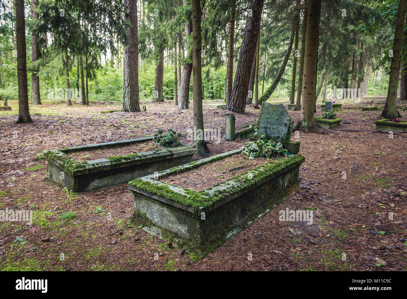 Alten, verlassenen Evangelischen Friedhof in der Nähe von jeziorowskie Dorf in der Woiwodschaft Ermland-Masuren in Polen Stockfoto