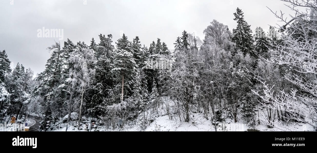 Wald und einer nahe gelegenen Straße in einer schwedischen Stadt im Winter. Verschneite Bäume in der Stadt sind. Stockfoto