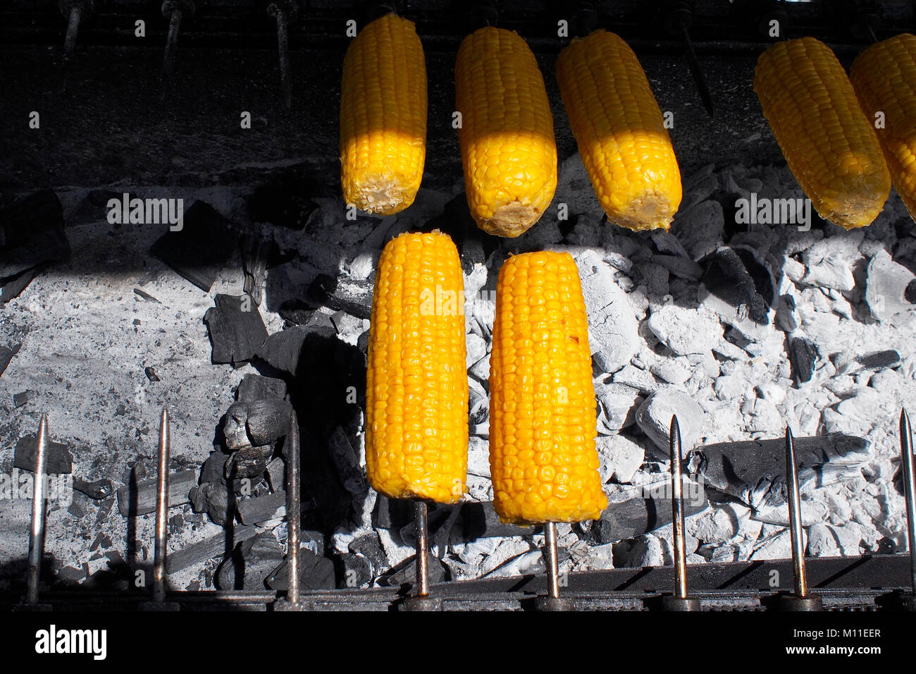 Die Röstung Mais auf Glut im Freien. Stockfoto