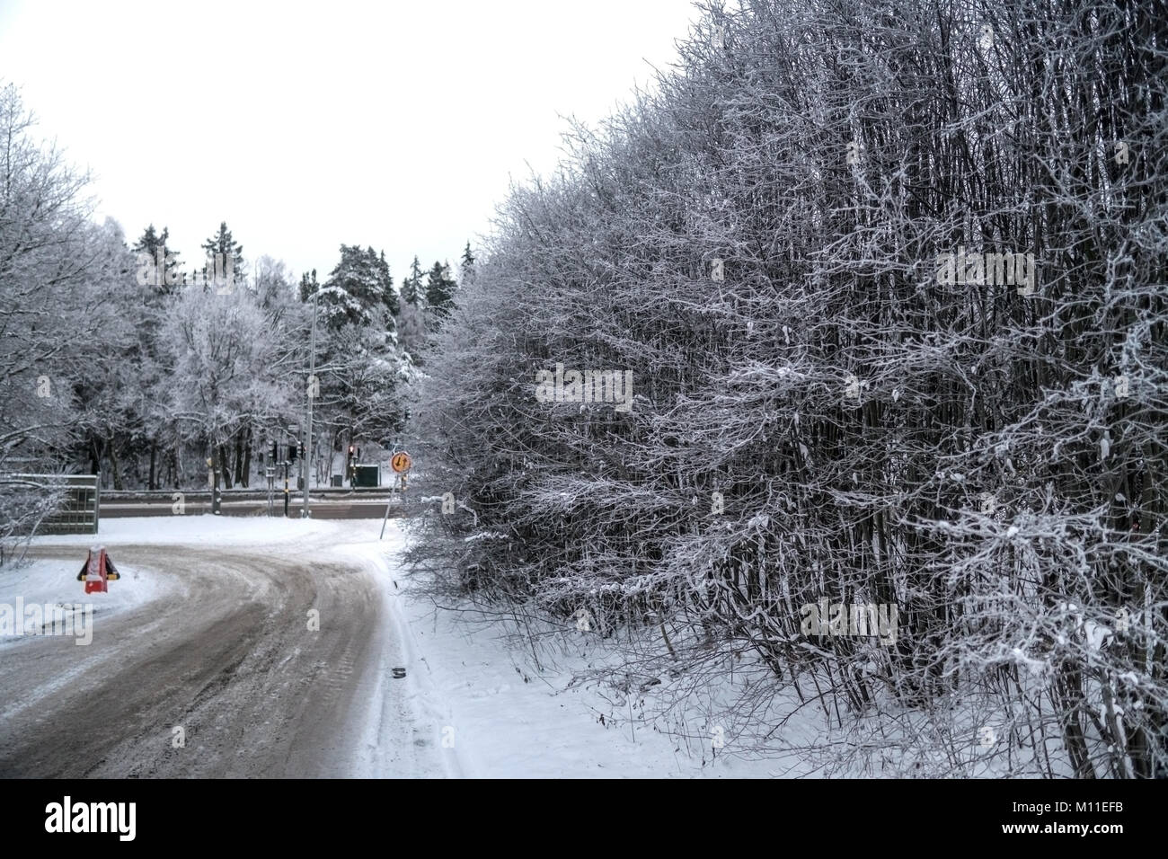 Gefrorenen Büschen an einer Ecke Seitenstraße mit einer großen Straße hinter und Straßenschilder. Eine typische Straße mit Schnee, in einer schwedischen Stadt, die während des Winters. Stockfoto