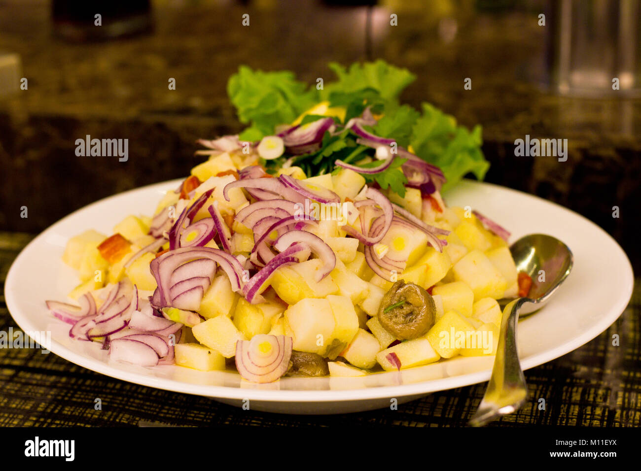 Salat aus dem gekochten Kartoffeln, Thunfisch, Roten Zwiebeln und Salatblätter Stockfoto