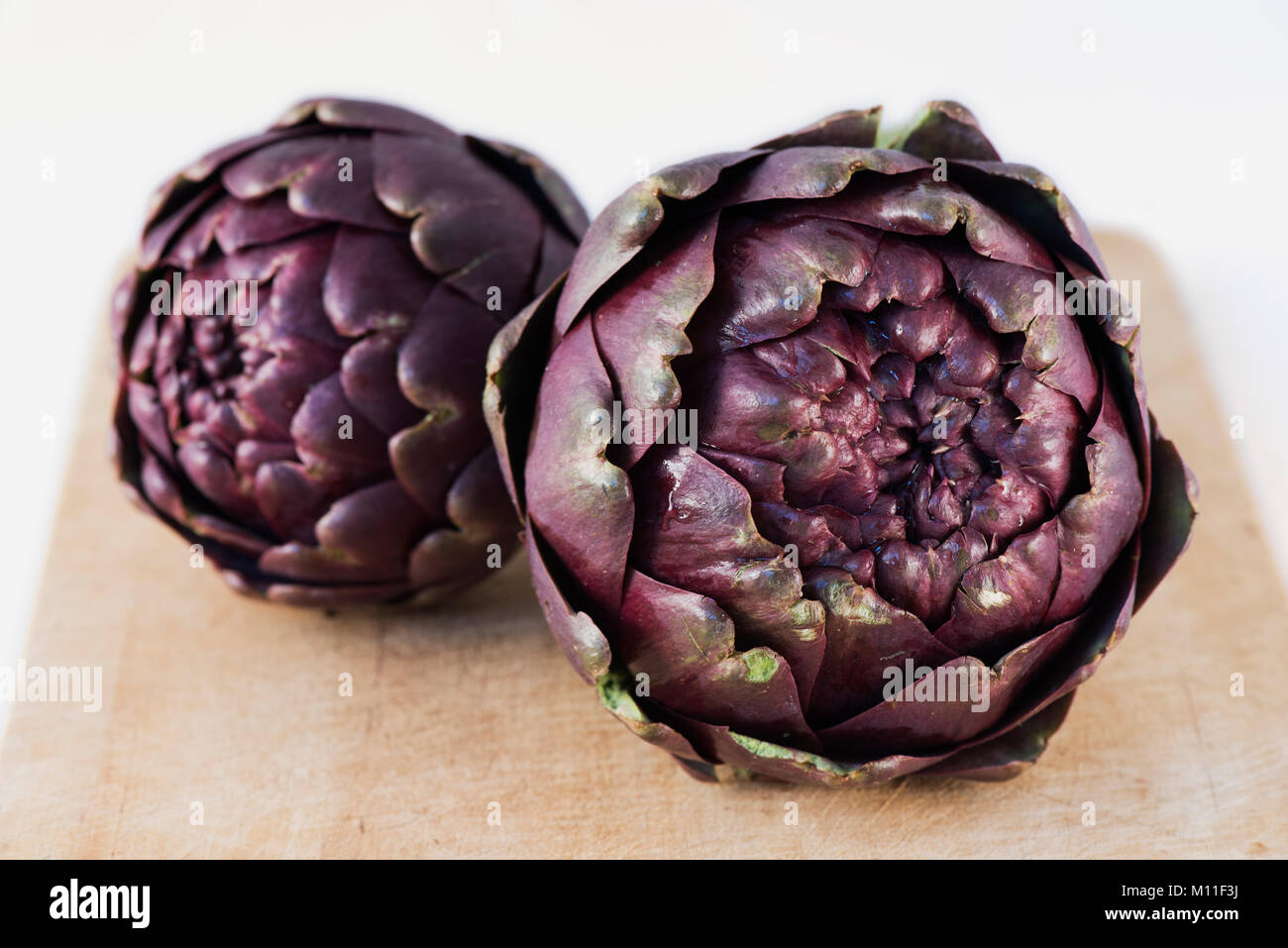 Römische Artischocke (Cynara Scolymus), Carciofi Romaneschi, Roma, Italia Stockfoto