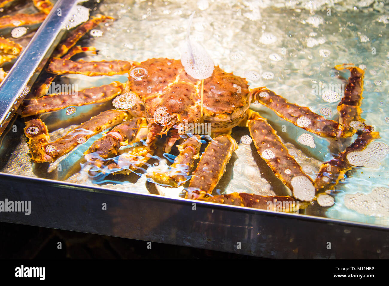 Grosse Grosse Leben Rote Konigskrabben Tarabagani In Wasser Behalter An Einem Frischen Markt In Otaru Japan Warten Stockfotografie Alamy